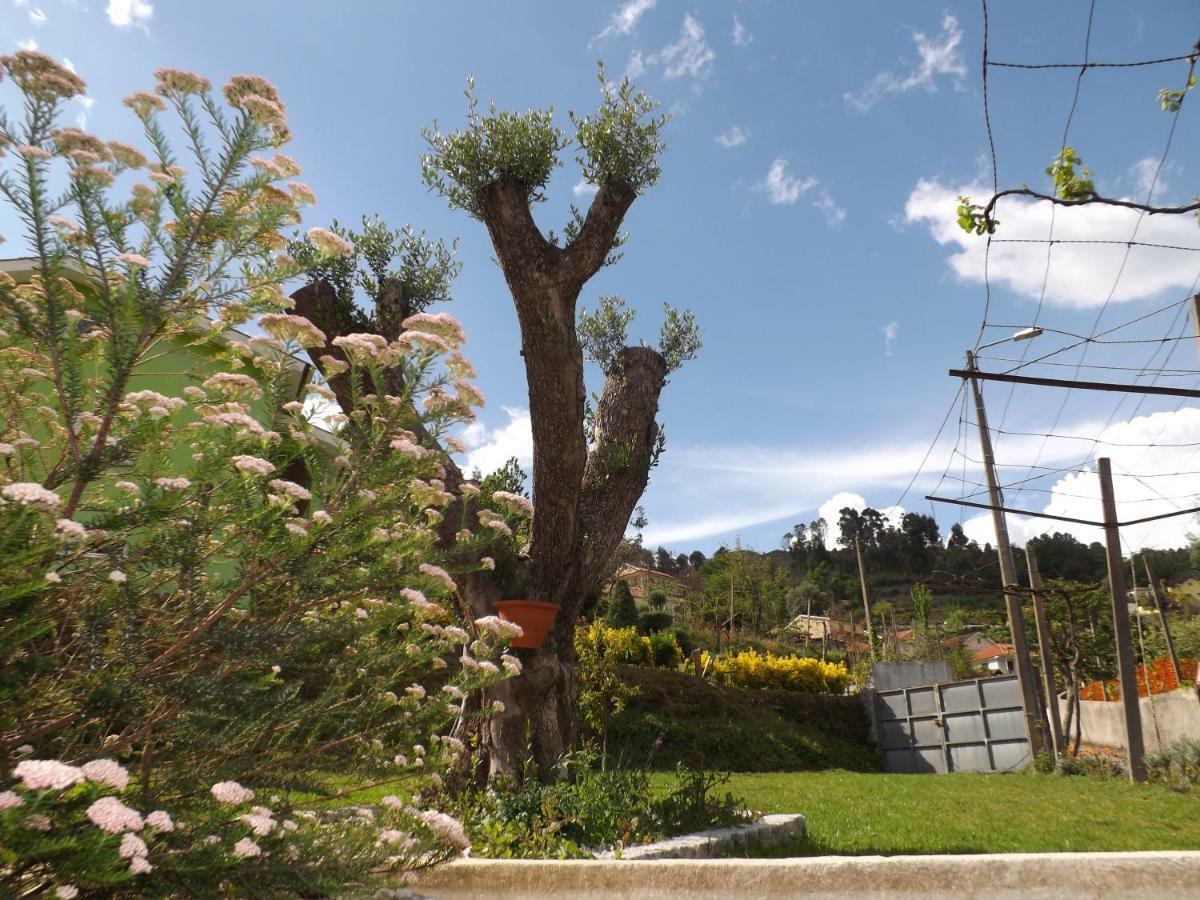 Casa Oliveira Villa Grovelas Buitenkant foto